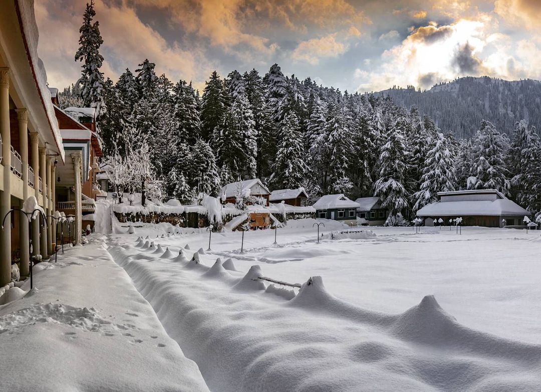Shogran